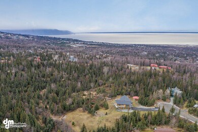 Aerials MS_100595-SMALL