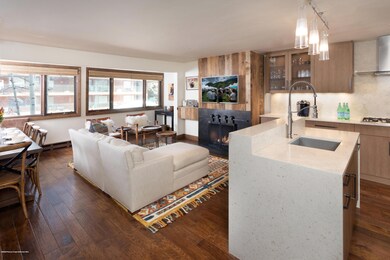 718 S Mill St unit 6, Aspen, CO 81611 - photo 2