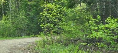 Lot 19 Scrag Mountain Rd, Sugar Hill, NH 03586 - photo 6