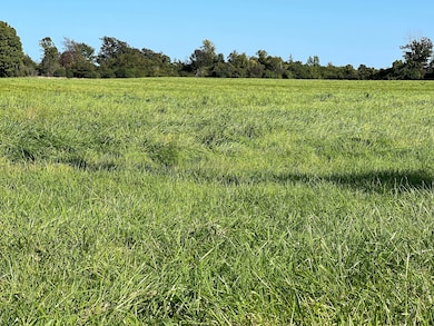 0 Nys Route 3 unit LotWP001, Henderson, NY 13650 - photo 5