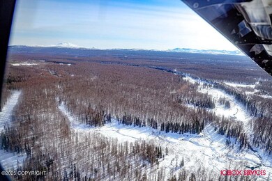 20801 E Baruch Loop, Talkeetna, AK 99676 - photo 6