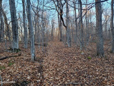 Old Looging Roads Run Through