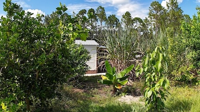 18471 SW 44th St, Dunnellon, FL 34432 - photo 6