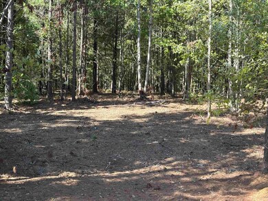 0 Bethuel Rd unit Lot 14, Unincorporated, TN 38053 - photo 2