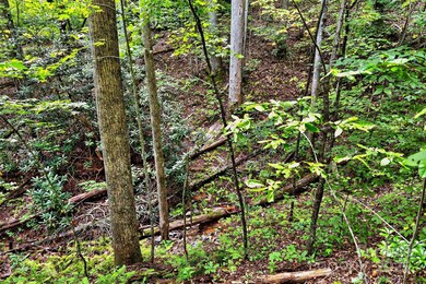 100 Comet Falls Trail unit 235, Black Mountain, NC 28711 - photo 4