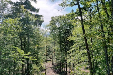 784 Texas Hill Rd, Plymouth, NH 03264 - photo 5