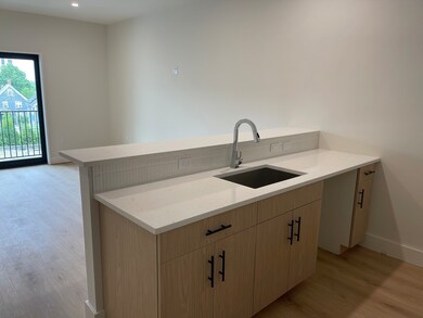 69 Bailey St unit 103, Boston, MA 02124 - photo 3