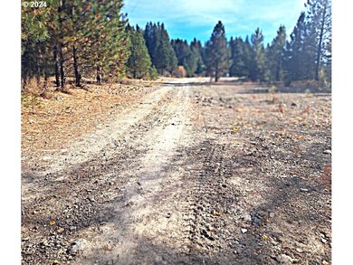 0 Oak St unit 24356227, Sumpter, OR 97877 - photo 5