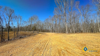 0 Highway 438 unit 25510456, Centerville, TN 37033 - photo 7