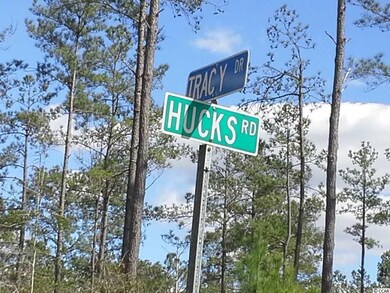 7363 Hucks Rd, Conway, SC 29526 - photo 3