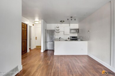Living Room/Kitchen