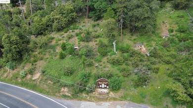 0000 Twain Harte Dr, Twain Harte, CA 95383 - photo 3