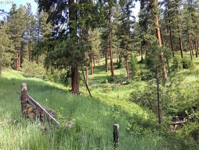 0 Malhuer Home unit 20598619, Prairie City, OR 97869 - photo 3