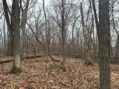 Lot 29 Hidden Meadow Ln, Blue River, WI 53518 - photo 3