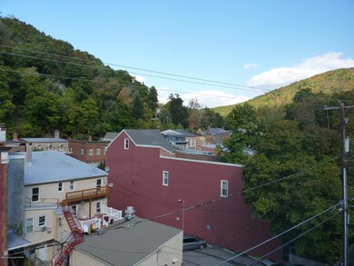 51 Race St, Jim Thorpe, PA 18229 - photo 5