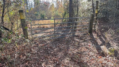 00 Cooper Pond Rd, Salley, SC 29137 - photo 4