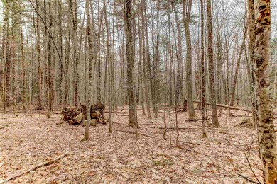 00 Hurricane Mountain Rd, North Conway, NH 03860 - photo 4