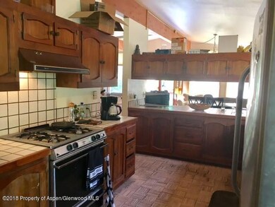 16 E Lupine Dr, Aspen, CO 81611 - photo 7