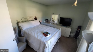 513 Cannon Rd, Silver Spring, MD 20904 - photo 5