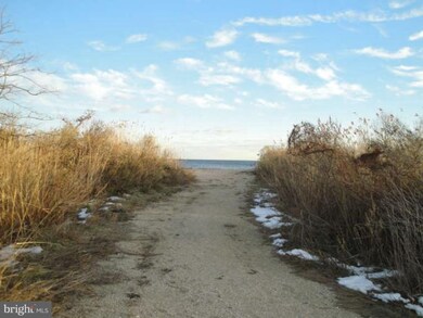 4013 10th St, North Beach, MD 20714 - photo 6