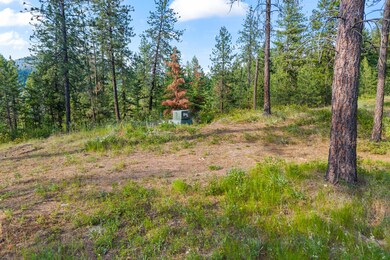 09-694 palmer-chewelah