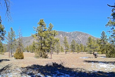 North View 1