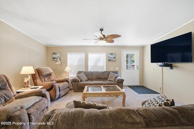 6715 W Richard Dr, Weeki Wachee, FL 34607 - photo 5