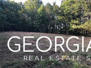 4143 Talking Rock Rd, Talking Rock, GA 30175 - photo 2