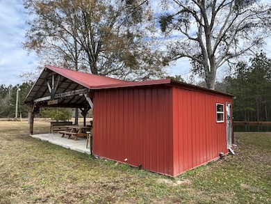 900 Benton Rd, Ochlocknee, GA 31773 - photo 4