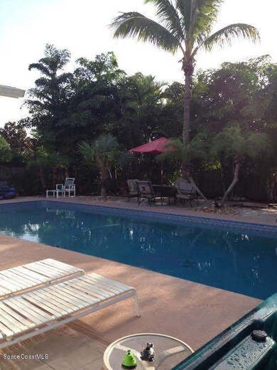 vasile pool 2