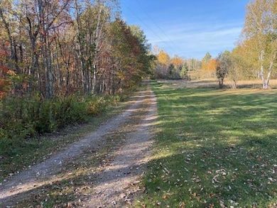 22991 Grouse St, McGregor, MN 55760 - photo 5