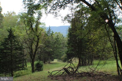 17 ACS Waterash Rd, Dorcas, WV 26847 - photo 3