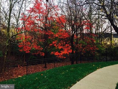 5700 Chapman Mill Dr unit 320, Rockville, MD 20852 - photo 4