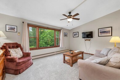 147 Kona Farm Rd, Moultonborough, NH 03254 - photo 5