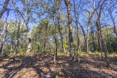 N S Acr 163, Elkhart, TX 75839 - photo 4