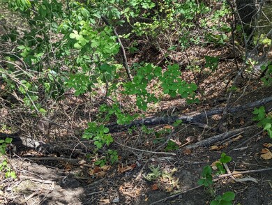 1053 Preserve St, Weatherford, TX 76085 - photo 2