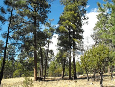 2 Lot 102 Juniper