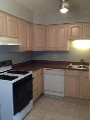 8045 Oconnor Dr unit 2C, River Grove, IL 60171 - photo 6