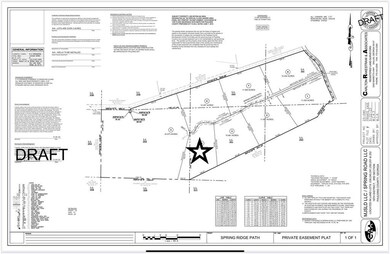 Survey map / technical document