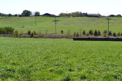 679 Cole Ln, Harrodsburg, KY 40330 - photo 6