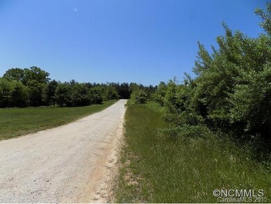 255 McCraws Hill Dr unit 3, Hendersonville, NC 28792 - photo 2