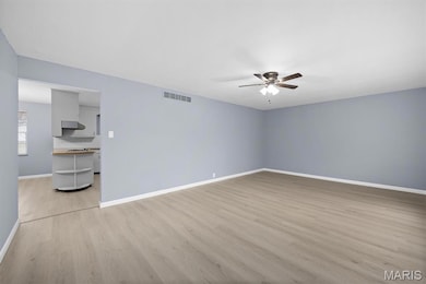 220 E 8th St, Marissa, IL 62257 - photo 4