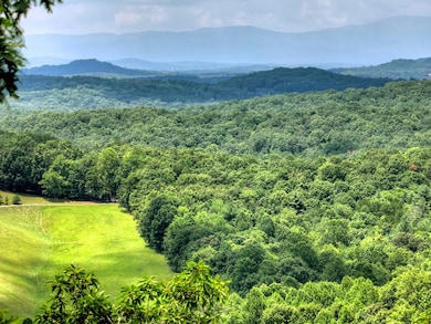 LOT 20 Locust Ln, Morganton, GA 30560 - photo 6