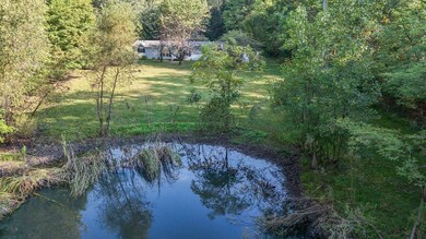 20240916-DJI_20240916090843_0133_D
