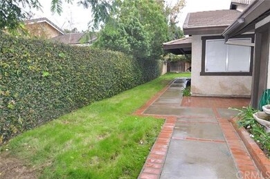 Side Yard