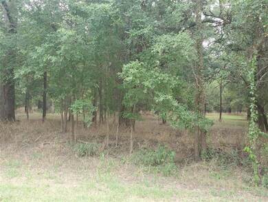 000 Horseshoe Bend Ct, Weatherford, TX 76087 - photo 5