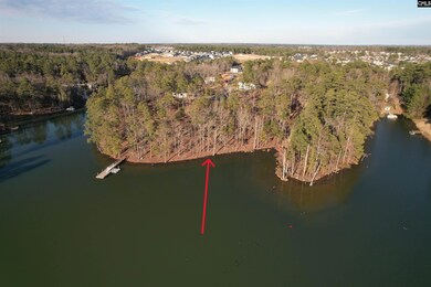 1533 Saugus Ct, Chapin, SC 29036 - photo 4