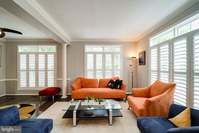 2415 Gorgas Place, Alexandria, VA 22311 - photo 5