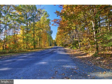 28 Woods Ln, Barto, PA 19504 - photo 5