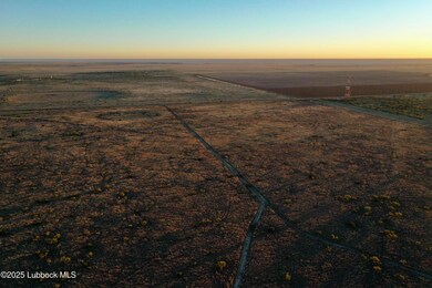 DJI_0518 copy